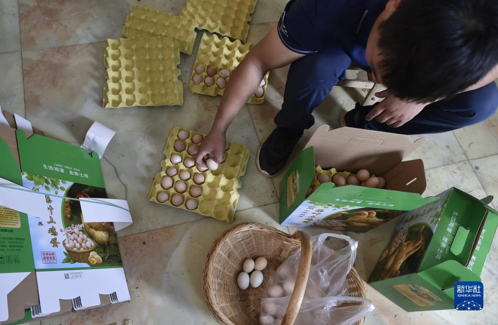 捕鱼游戏电脑版在线